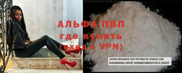 ешки Бородино