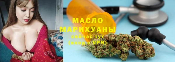 ешки Бородино