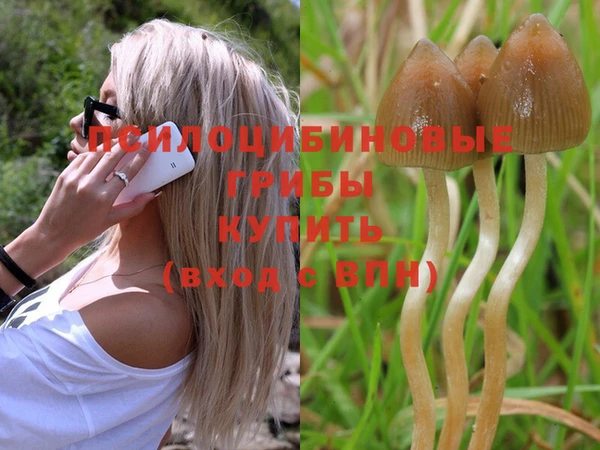 дистиллят марихуана Бронницы