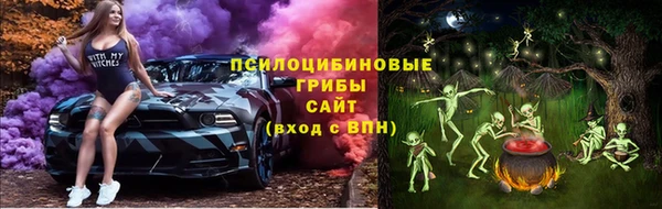 ешки Бородино