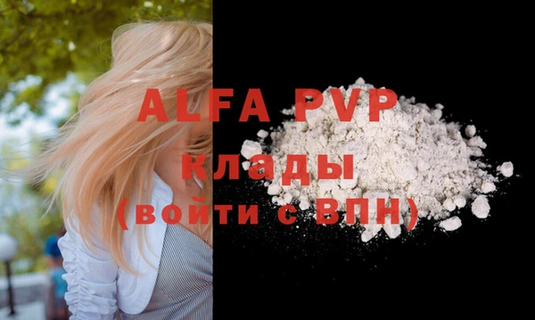 ешки Бородино