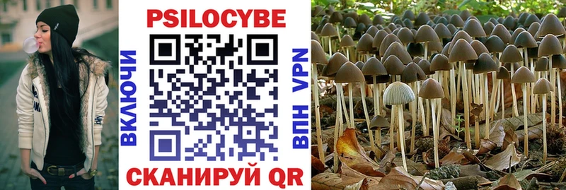Галлюциногенные грибы Magic Shrooms  купить   MEGA ссылки  дарк нет какой сайт  Томилино 